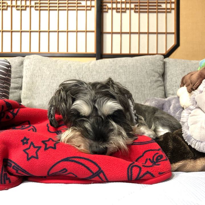 573b10ae eab8 45ea bf57 033240dc32b8 1602396070702