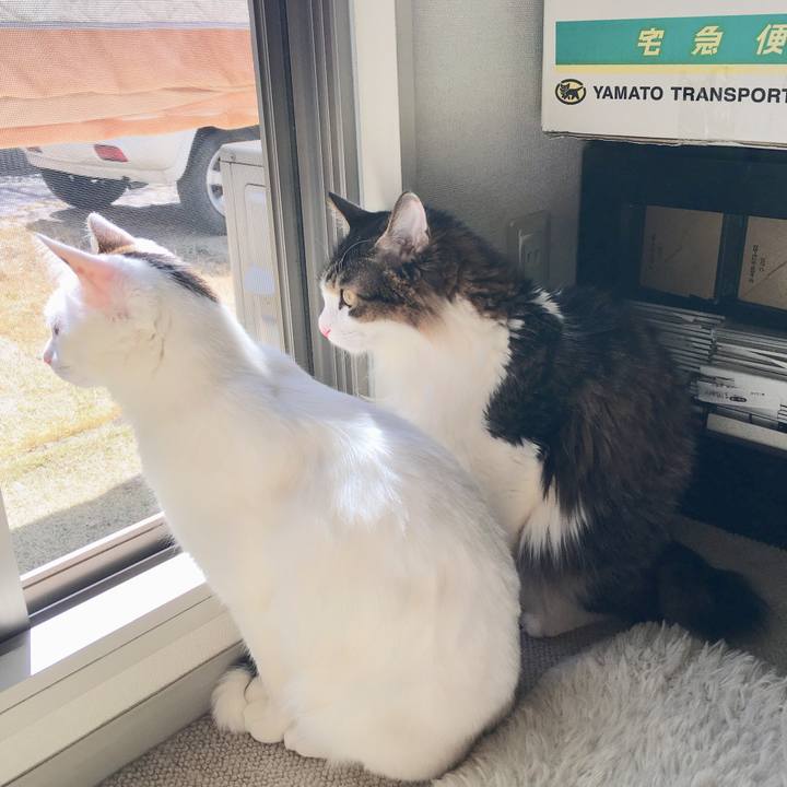 573b3c11 389d 43de 9373 98a3ec3afa5e 1520831364592