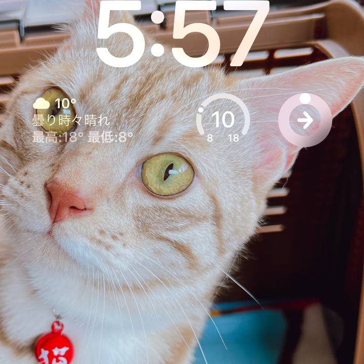 573b449c 3fb0 43d9 b10b 52b052c3846b 1681691044944