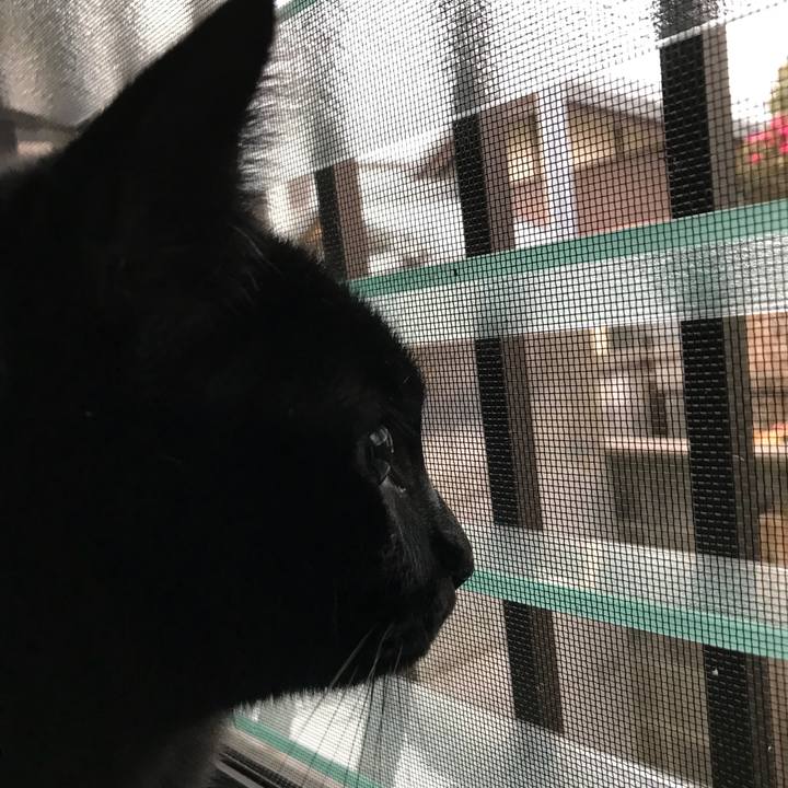 573b50c7 f17d 4f80 9114 0405667d632c 1516584669365