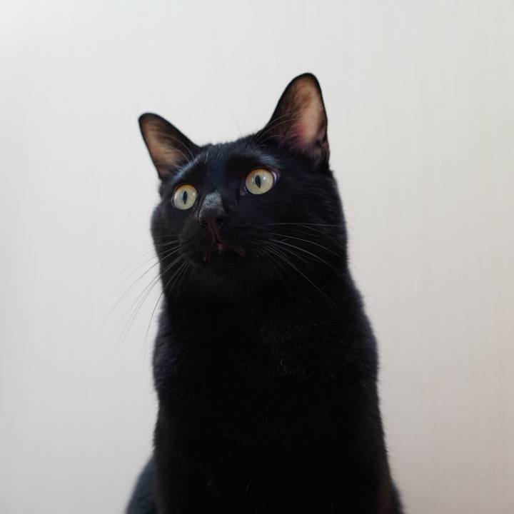 573b8cb9 5b09 4cee b41d 2fd36dfeaf02 1573547880947