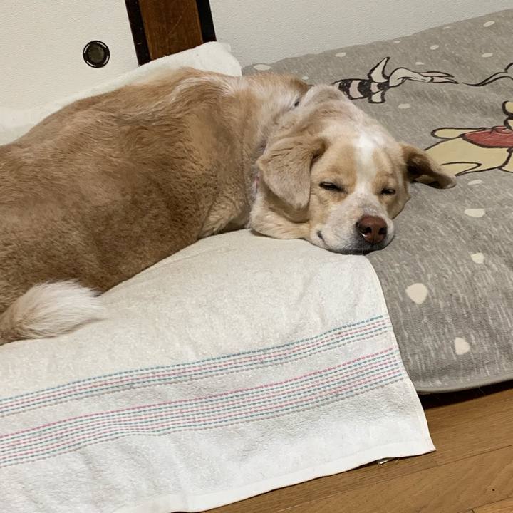 573bb696 af98 4ca9 b09f d1d68a8e9342 1549977579724