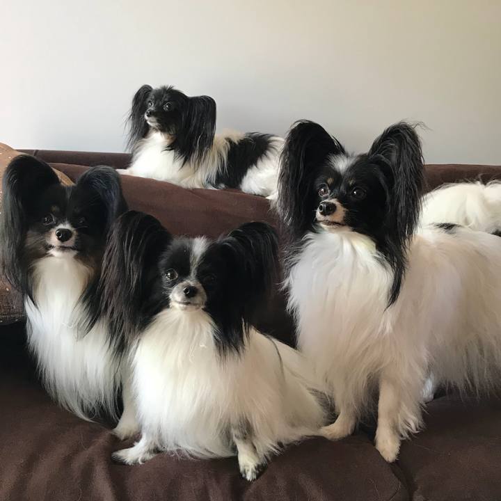 573bc563 4027 4463 b45a e9b2a9fddee0 1535287629643