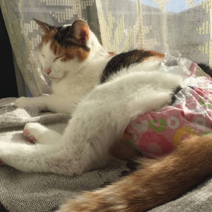 573bed76 5b68 4cee ac3d 6db674b29da2 1513215948481