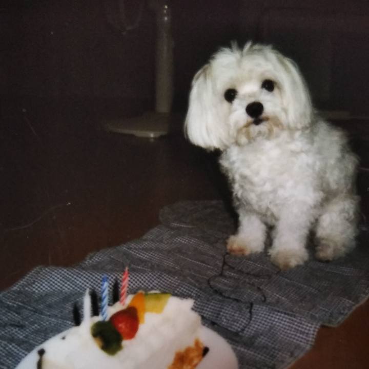 573bf4af a33d 42d9 bd2d 313e17acf1c0 1571117247394