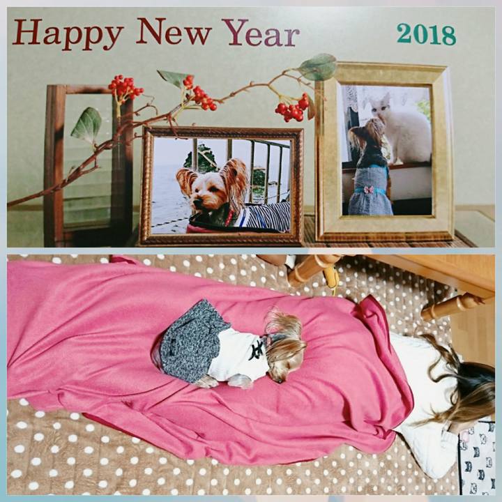 573c1a5e 3c13 449b 9e9b e577f0630127 1514802500895