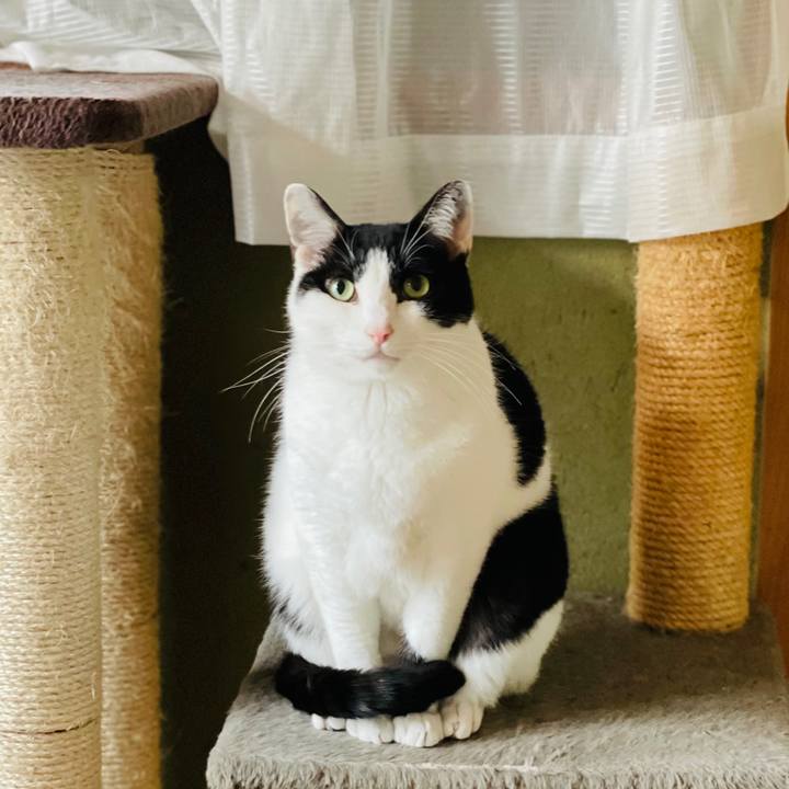 573c2e43 91db 43d7 989a 5795b3515b59 1609386253695