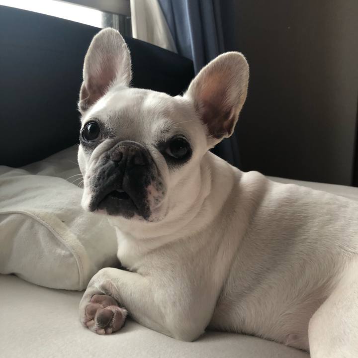 573c4637 4e0d 4891 bdff f5fc113058b1 1585477026509