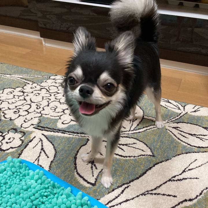 573c48f4 bed3 447c 99ac 21769e97dfd0 1627219127368