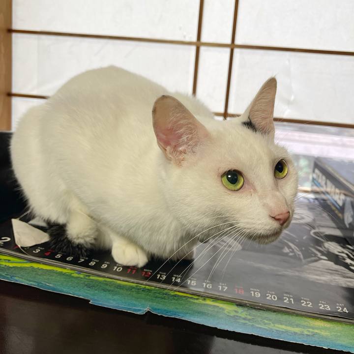 573c5100 3602 478f 8a2e 3e5cfdd951ab 1764629249528