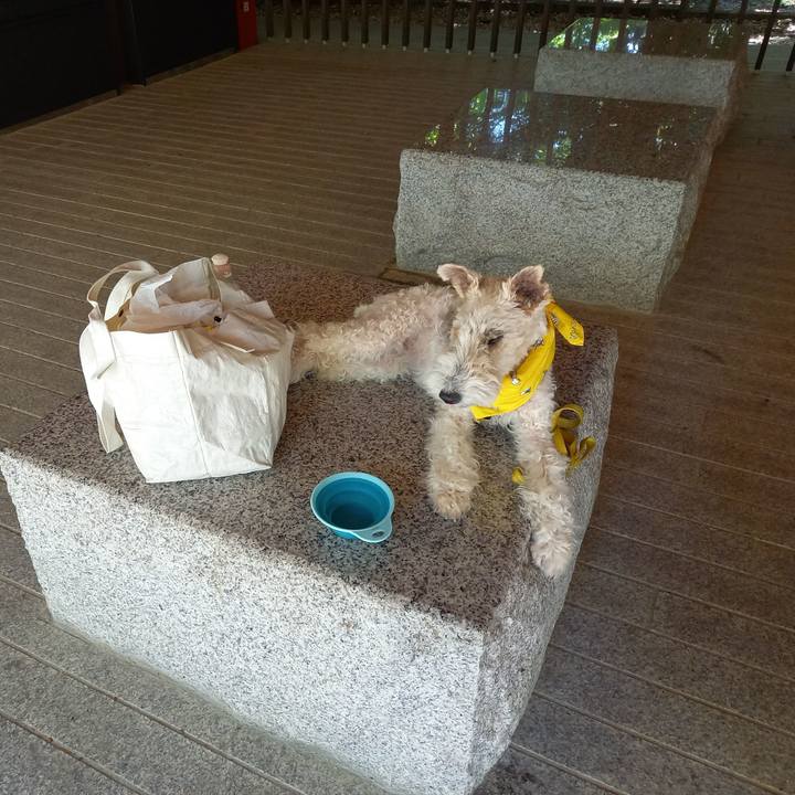 573c5922 b07e 4605 8265 df61980bd233 1655034337189