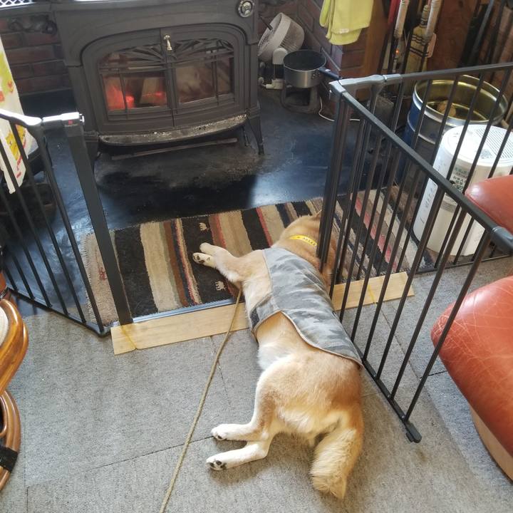 573c7ae0 5155 43e8 9331 39da1c53cfbb 1677541419957