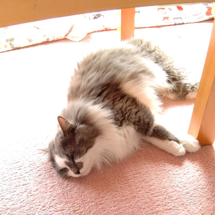 573cade1 91be 4e04 8e57 3c0f235bf9d2 1615716047684