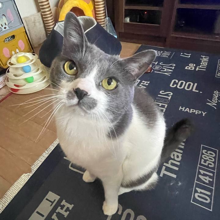 573cc0cb fd62 4faa 8c83 decd6feaa7c6 1714870676979