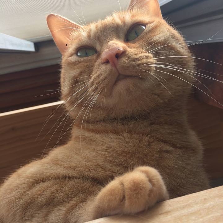 573ce588 cb67 42be a011 ba2bfd1e1324 1509665662466