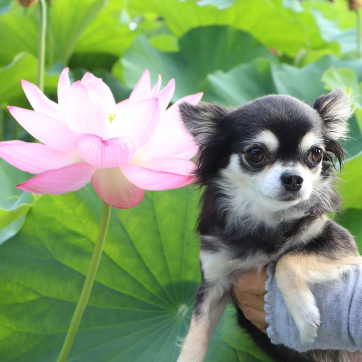 573cfc40 755e 4cbd addd 39da3c715950 1752736582020