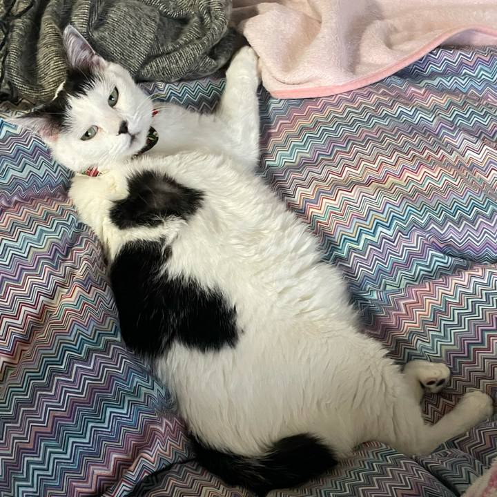 573d05ef e03a 4e94 b1f9 402b9639df03 1641857436929