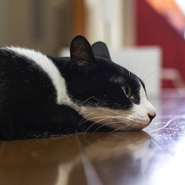 573d1c19 dbec 44f6 9ed1 a26af5f7b04d 1531554204436