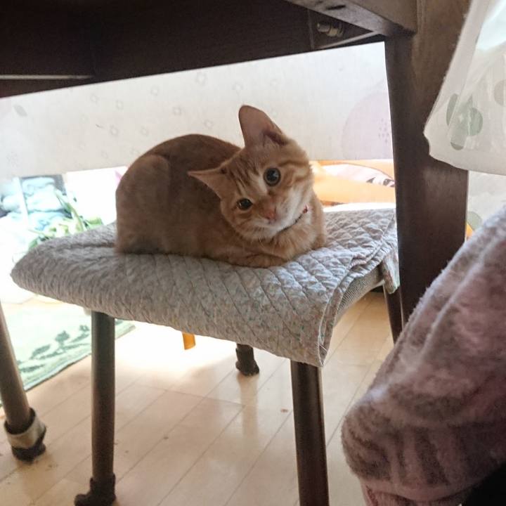 573d3311 c347 40f5 a427 3326f489bd48 1635458200836