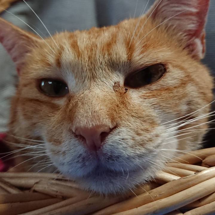 573d40bf 9f67 485d b053 99118dc24da7 1562400809426