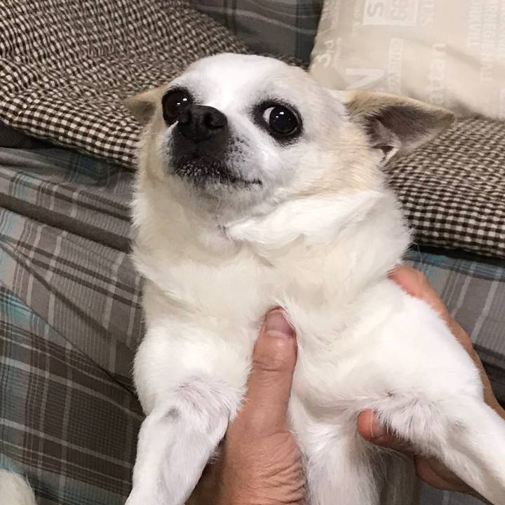 573dfcee e29f 45fc 83d1 2ae63440bf02 1527764564958