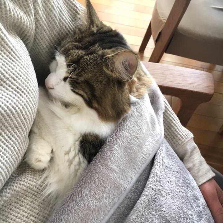 573e00b1 d86f 4a84 a367 369293729034 1636692583017