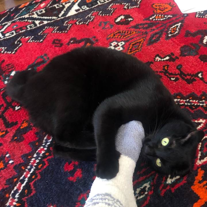 573e531b 9056 4d1d 979f bf033e382edd 1667042838438