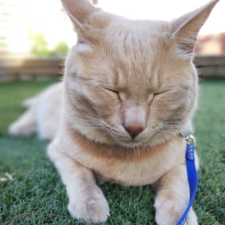 573e7662 e038 48e5 913d 6d2e164dd62d 1624693918304