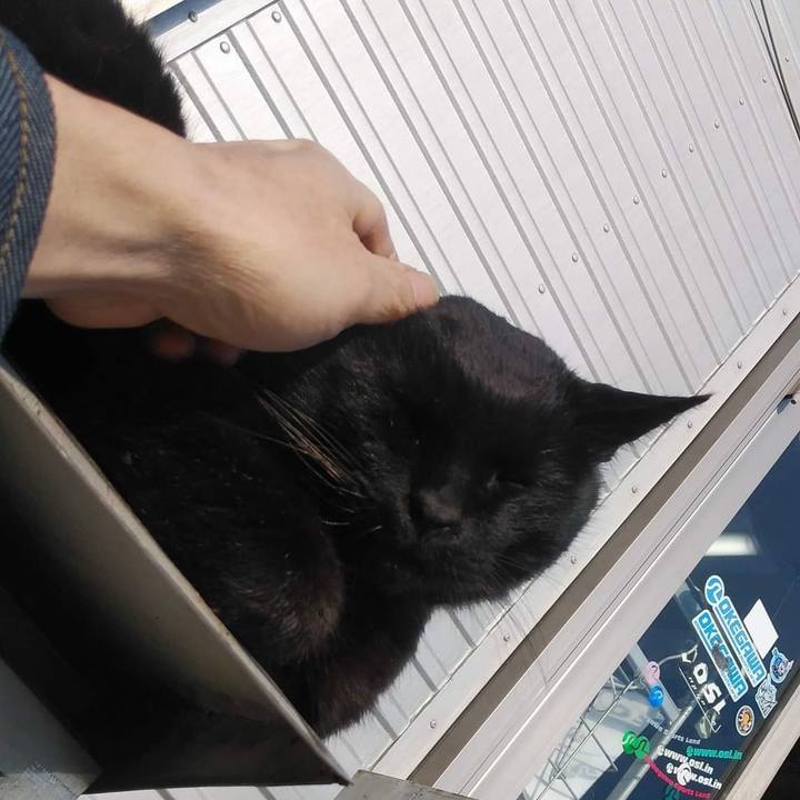 573e8c3e 244f 4e64 a3c4 b58a447d0695 1646129511627