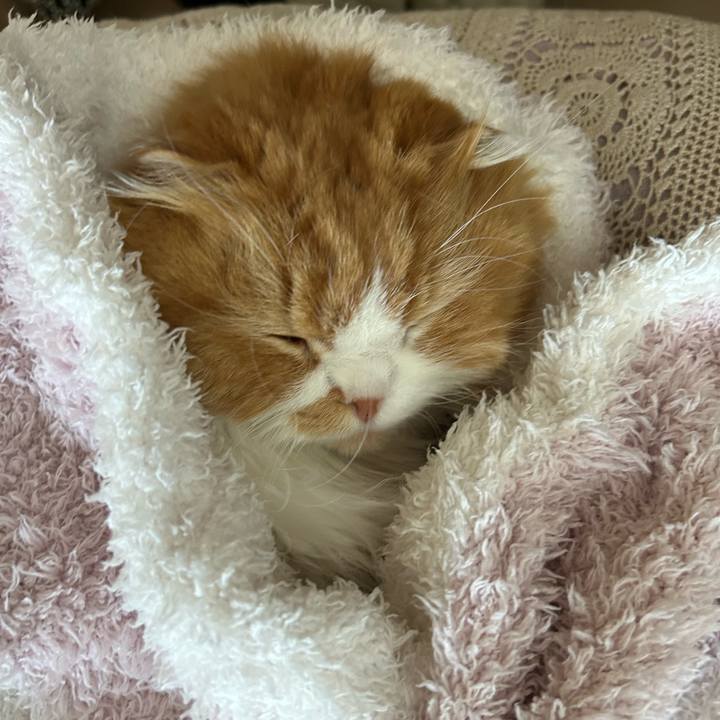 573eab4c e336 405e b3ee 642df4285220 1731817227526