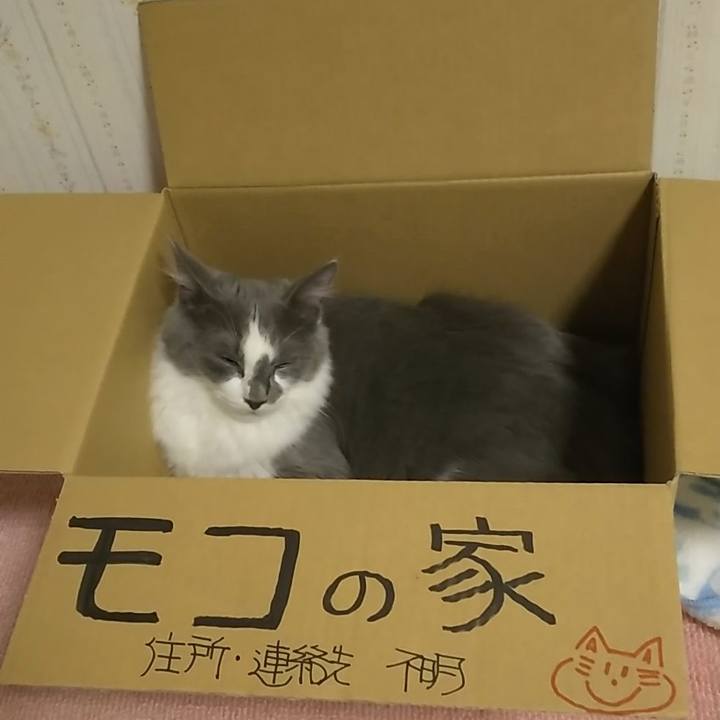 573ec277 29d2 469f 8177 eb8b62e6a0ac 1568416525648