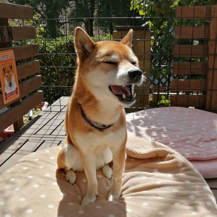 573ed317 3a7d 47d3 8276 75b092738d7d 1646621572819