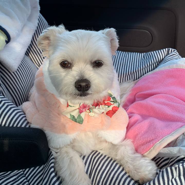 573eefe4 ccbb 4e49 a745 3f2b1aea2c0f 1610780482258