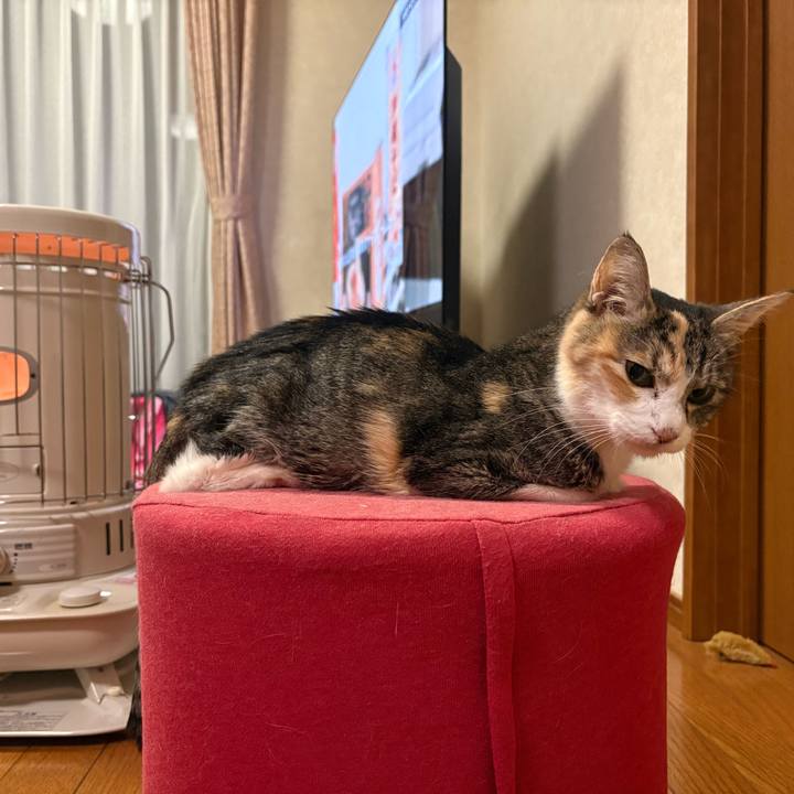 573f3164 7ce7 4d30 93c4 09cd70a9fb7e 1763642892375