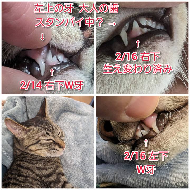 573fb130 57c2 4544 912f 16b667af0e46 1708125528037