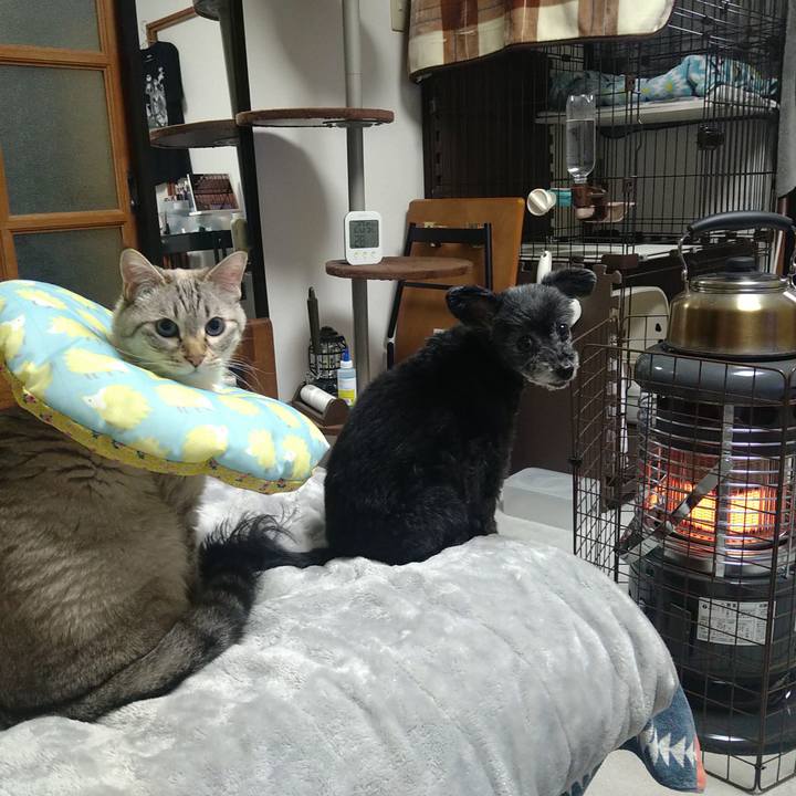 573fe594 18bf 41d4 a7aa f23d4bc7a1f0 1735382399477