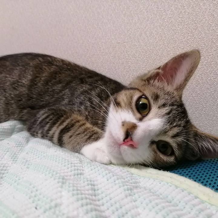 573ffc2a 256f 4c00 9fe5 263cf3945268 1663192240965