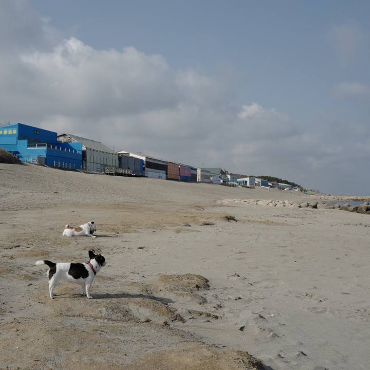 57401909 cbfe 4782 97a9 0680190555c0 1555909962944