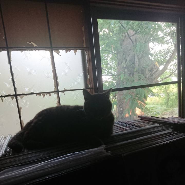 57404c5d 2ec3 4c44 a816 7328457125bd 1656882432143