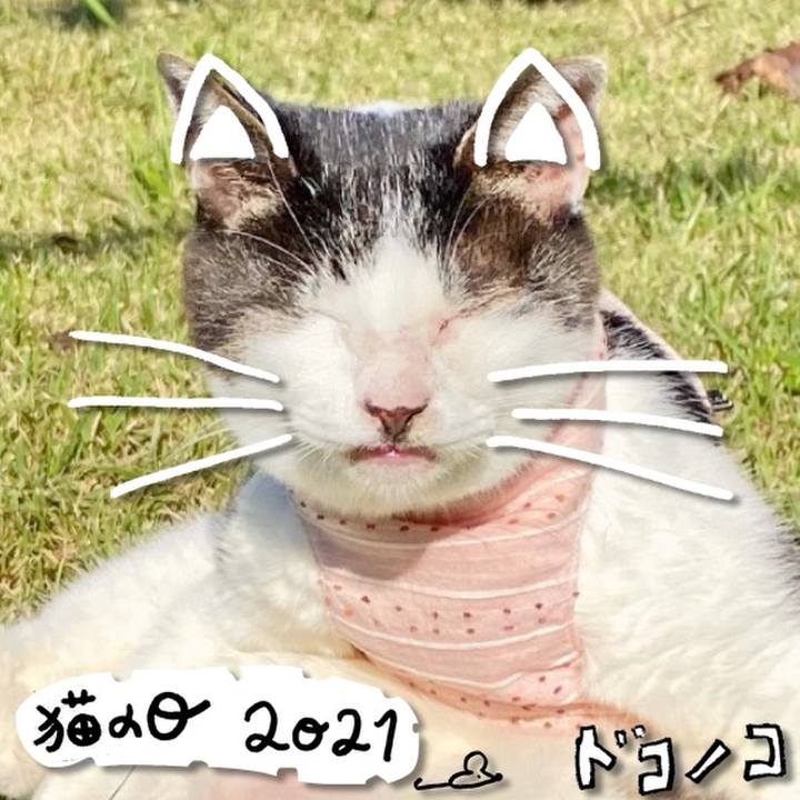 574068db adc6 411f b644 bf6a14872b37 1613961432935