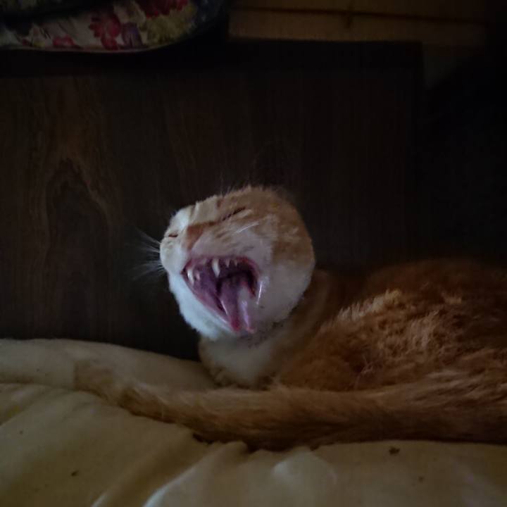 5740a6e7 202d 4710 87be a2492ac1aed0 1588733714919