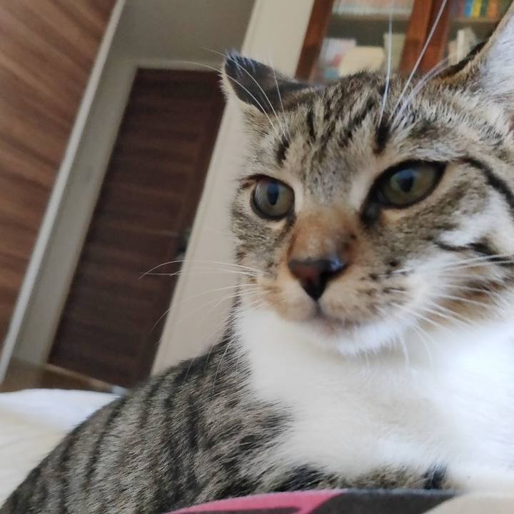 5740a73d 3b76 4d8a a90a 4d6eb61a722a 1633225391739