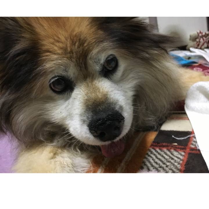 5740f800 246a 4fb7 b3d5 7a5d545eb97d 1662887931378