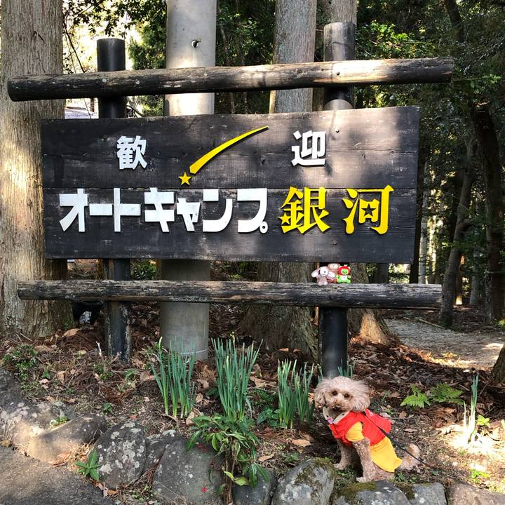 57414d25 9299 48f5 b728 02d0bc821f9b 1774691836674