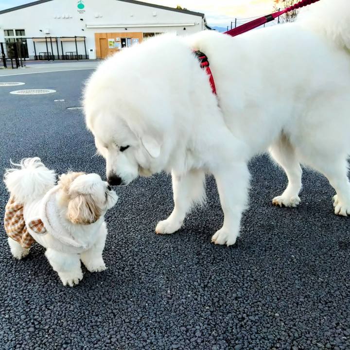 5741777c 1b40 47b6 bc0d fbd6216c76f9 1732407274134