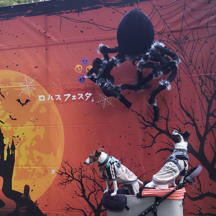 57417d8c dde2 4cd0 828b 41a2526872e7 1760786323098