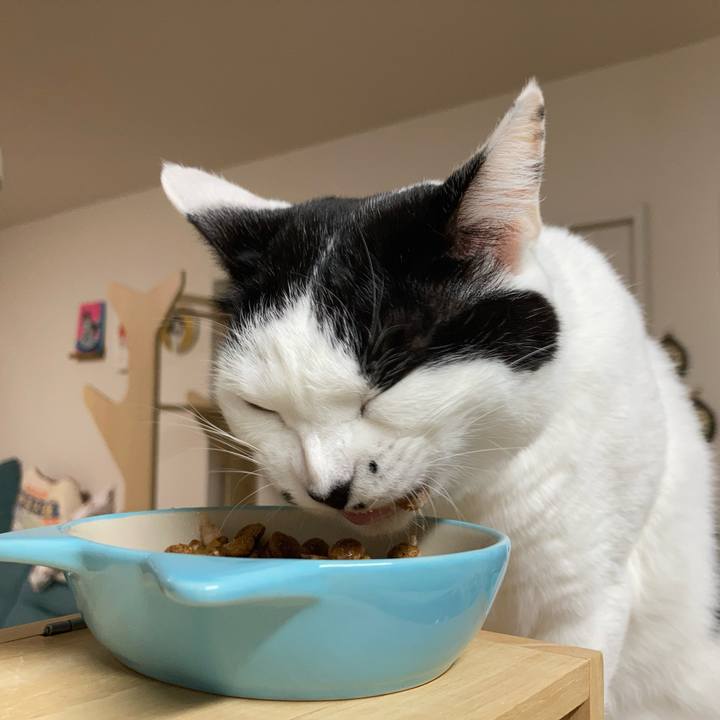 5741939a ec30 4e99 824b 7c8526460de0 1765310197113