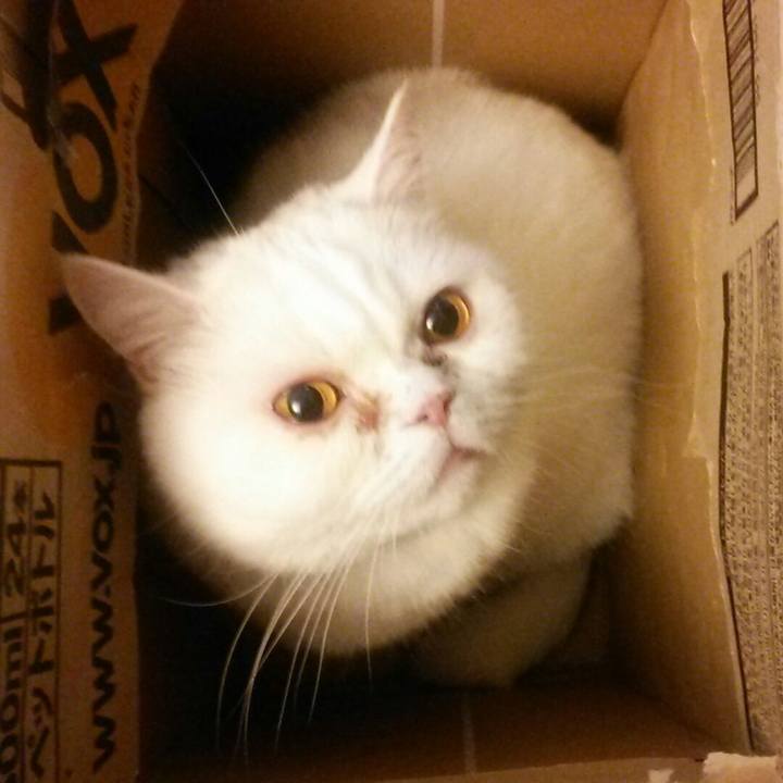 574199e7 e1ae 4182 b7bb 78ff16ff60be 1581431491880