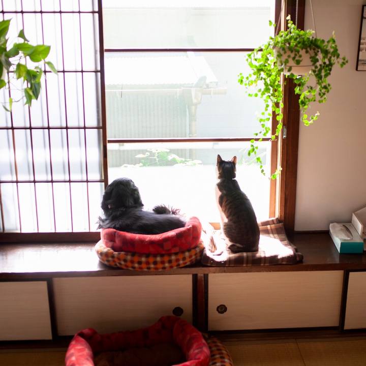 5741b331 9370 44e5 a80e 689029852e03 1585029564206