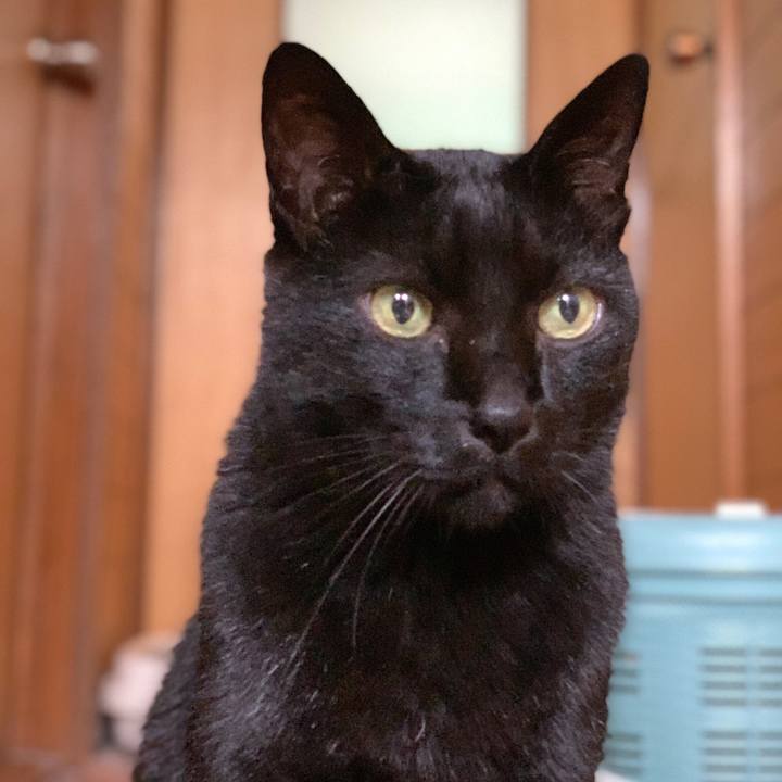 5741d902 fcf1 4602 afd1 8f3a1c45d7bc 1602465918918